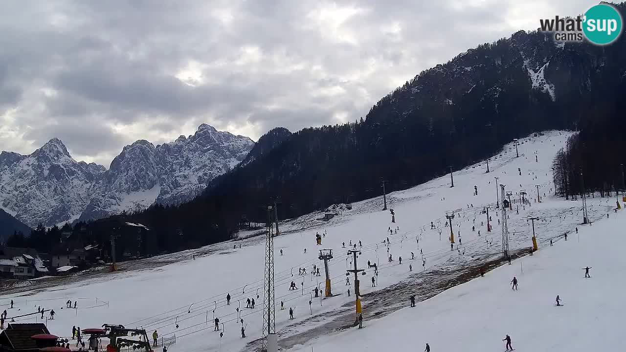 Webcam Kranjska Gora SKI – panoramica Piste centrali