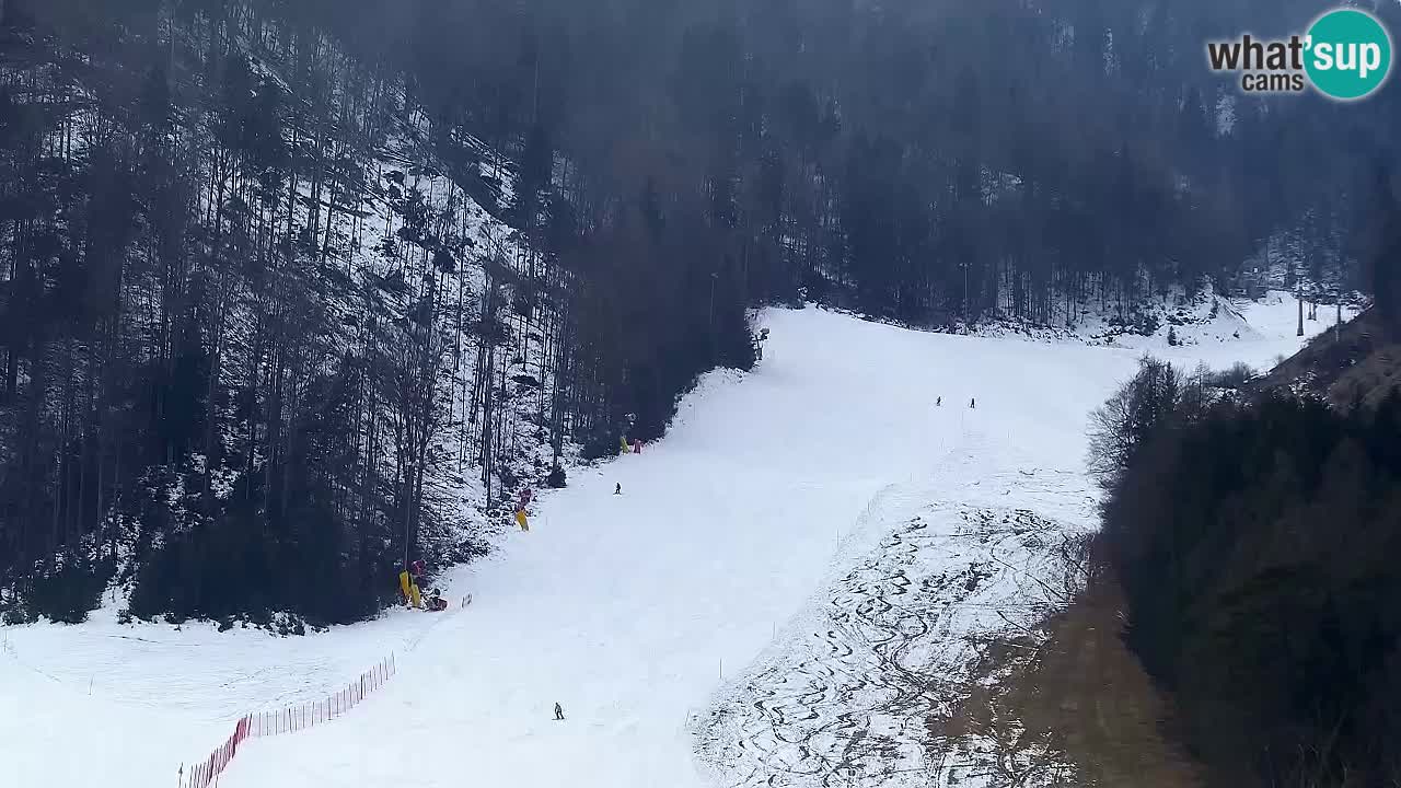 Webcam Station de ski Kranjska Gora – Slovénie