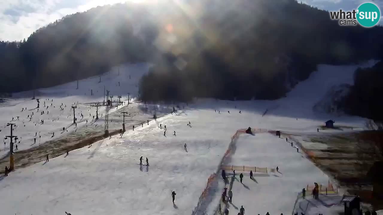 Webcam Kranjska Gora SKI – panoramica Piste centrali