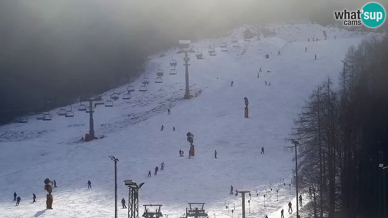 Webcam Kranjska Gora SKI – panoramica Piste centrali