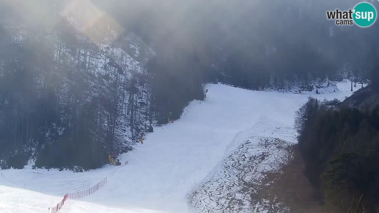 Webcam Kranjska Gora SKI resort | Bech, Kekec, Mojca ski