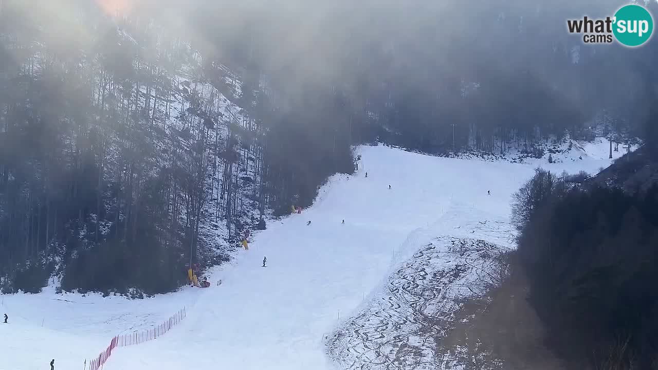 Webcam Kranjska Gora SKI – panoramica Piste centrali