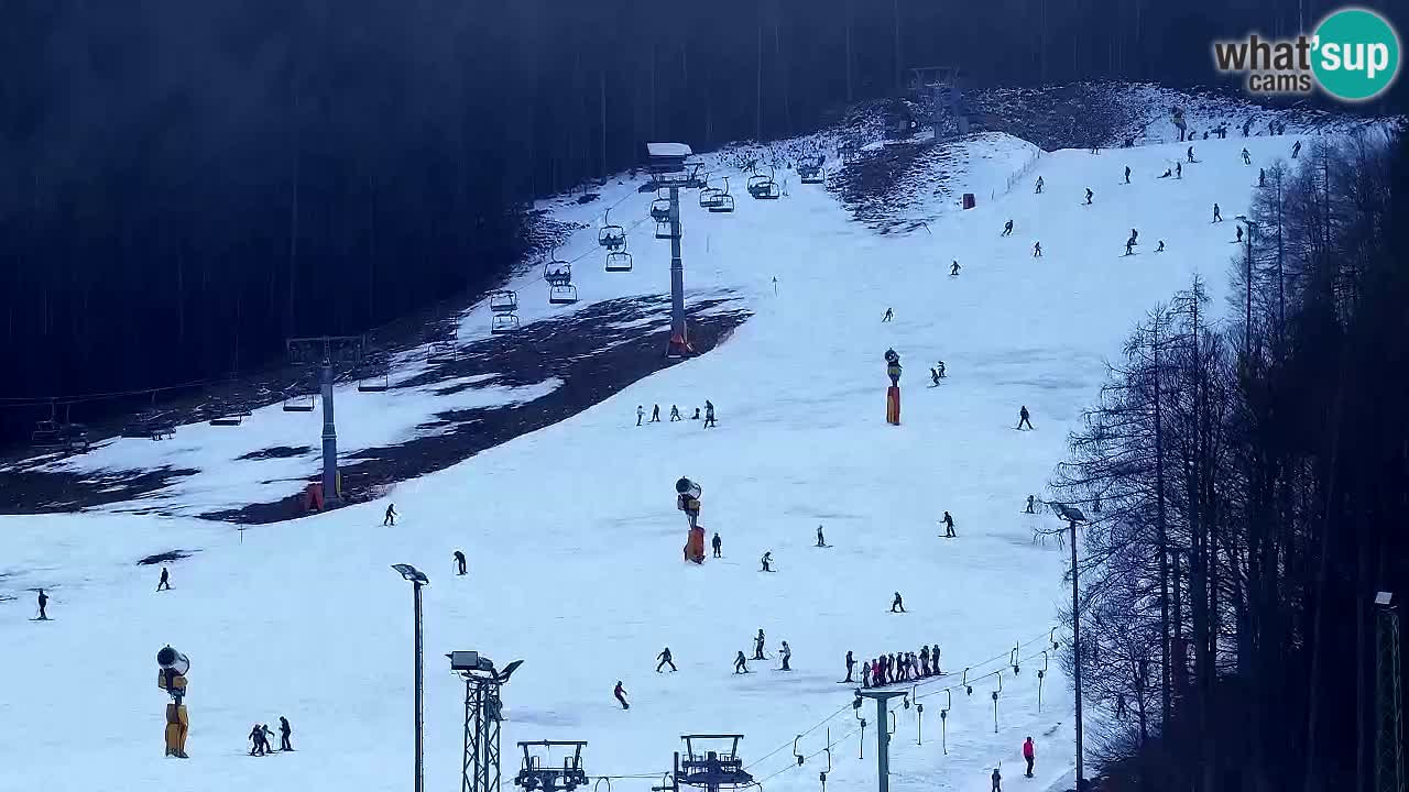 Webcam Kranjska Gora SKI – panoramica Piste centrali