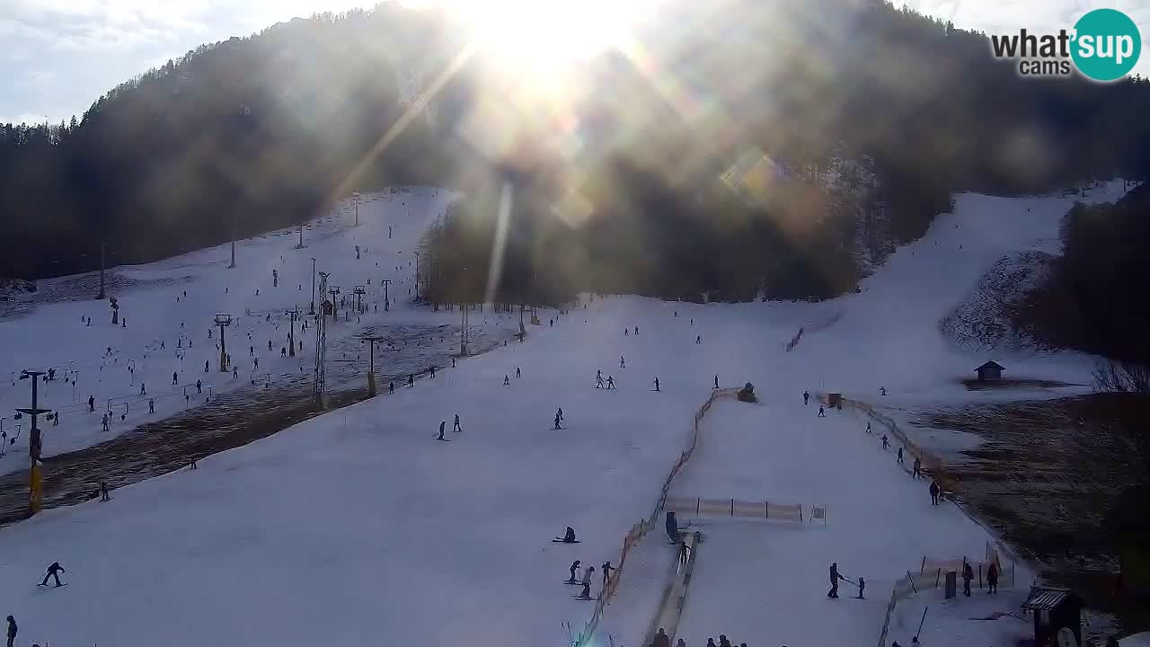 Webcam Kranjska Gora SKI – panoramica Piste centrali