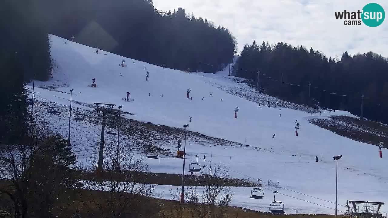 Webcam Kranjska Gora SKI – panoramica Piste centrali