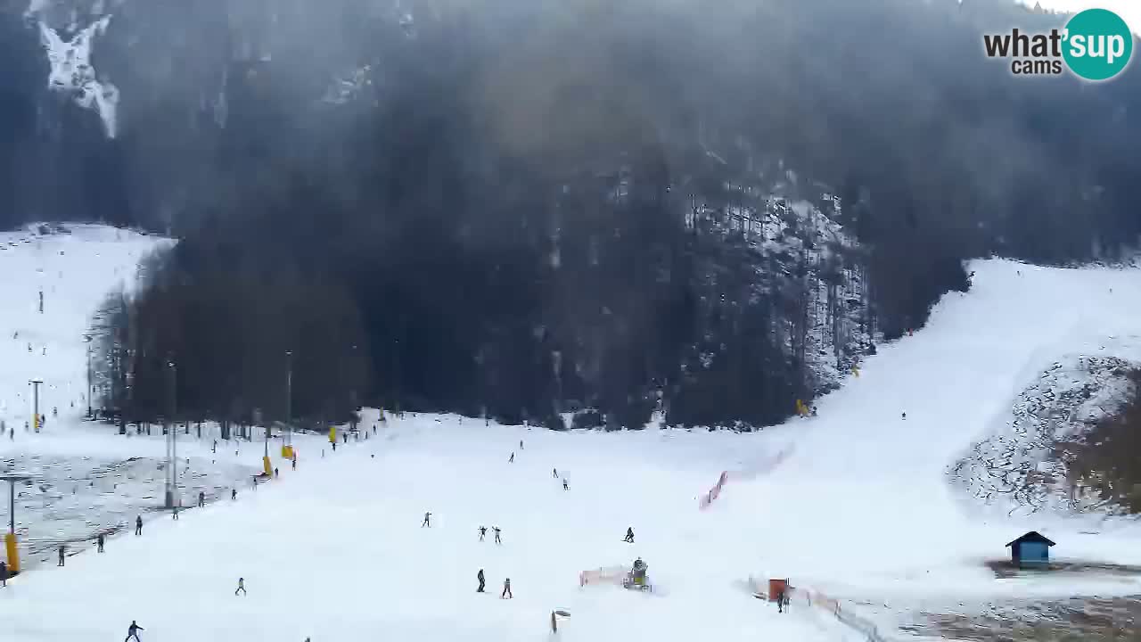 Webcam Kranjska Gora SKI – panoramica Piste centrali