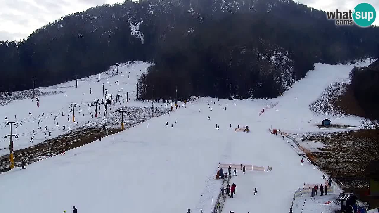 Kamera Kranjska Gora | Plaža in proge Kekec in Mojca