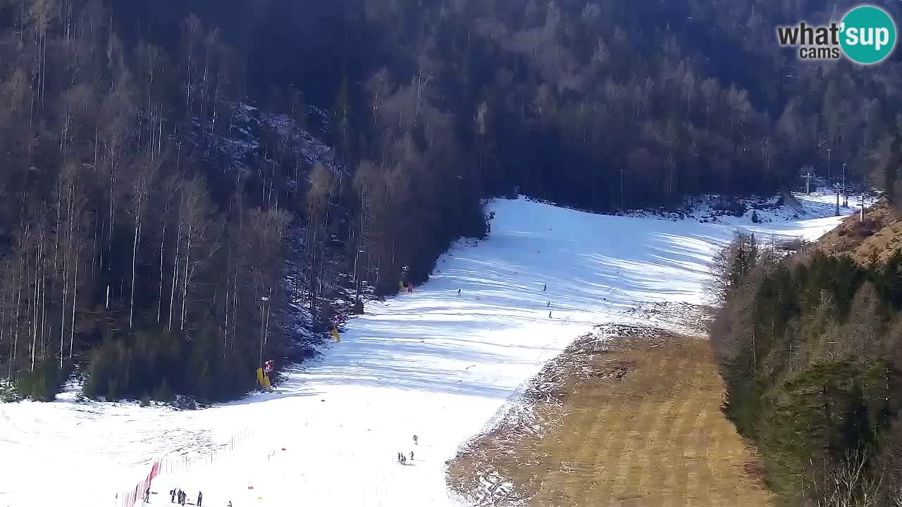 Kamera Kranjska Gora | Plaža in proge Kekec in Mojca