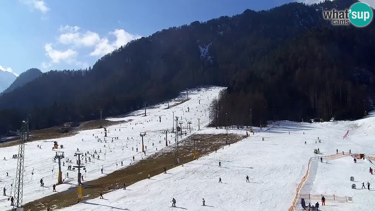 Webcam Station de ski Kranjska Gora – Slovénie