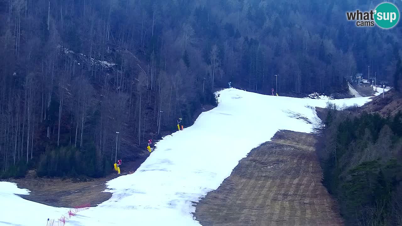 Webcam Kranjska Gora SKI – panoramica Piste centrali