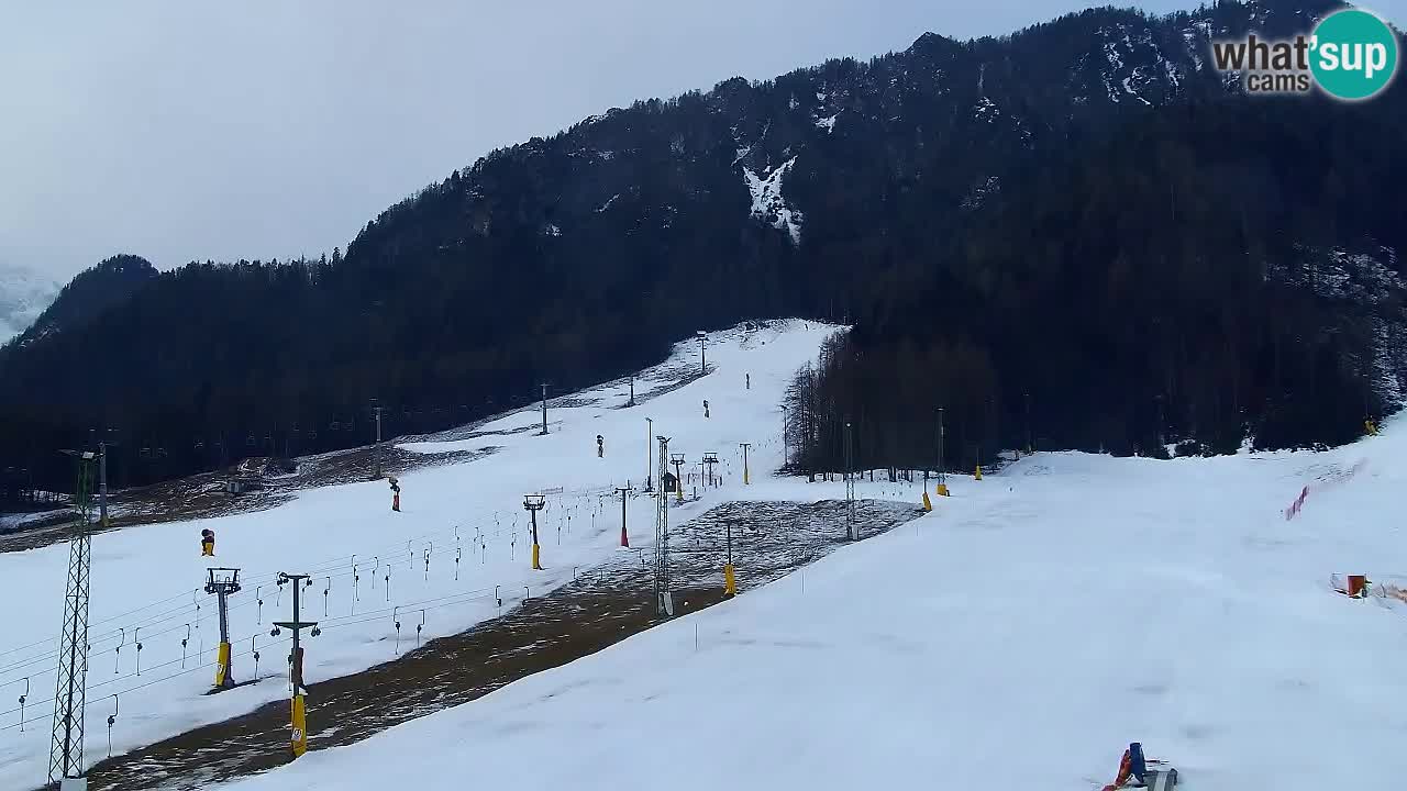 Webcam Estación de esquí Kranjska Gora – Eslovenia