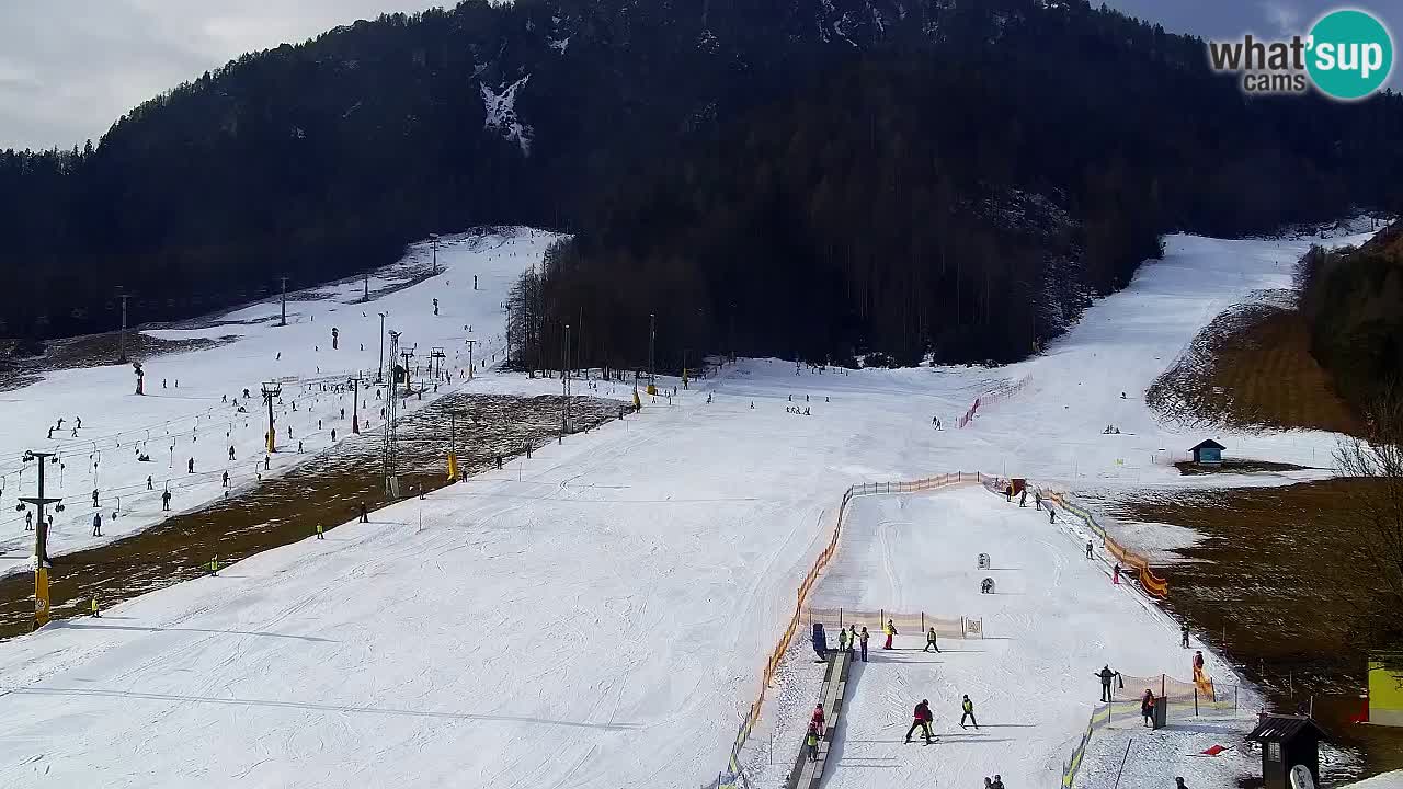 Webcam Kranjska Gora SKI – panoramica Piste centrali