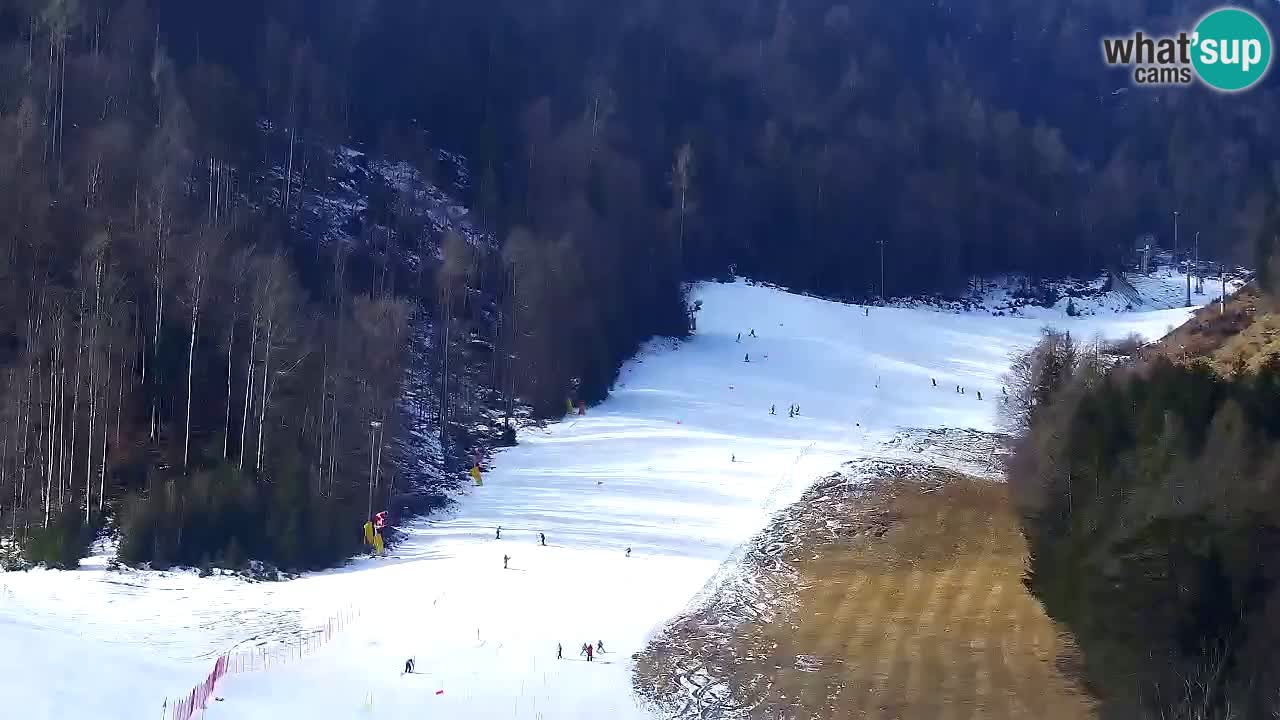 Webcam Station de ski Kranjska Gora – Slovénie