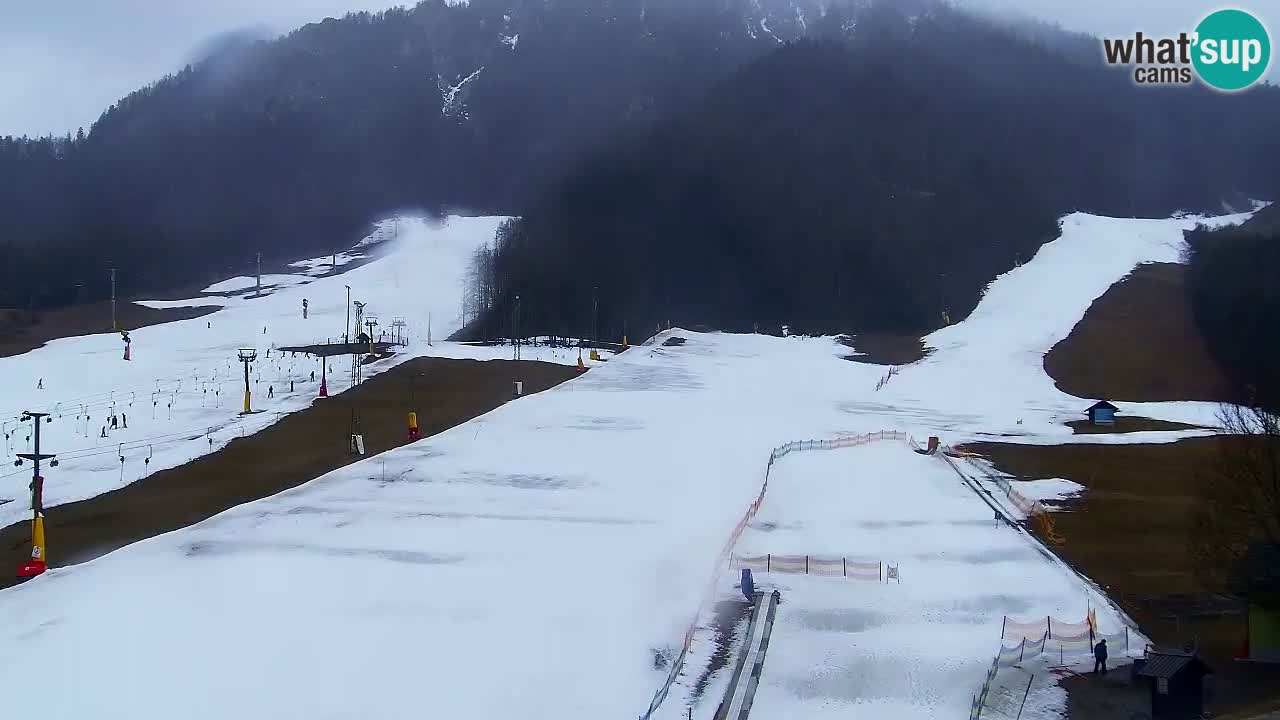 Kamera Kranjska Gora | Plaža in proge Kekec in Mojca