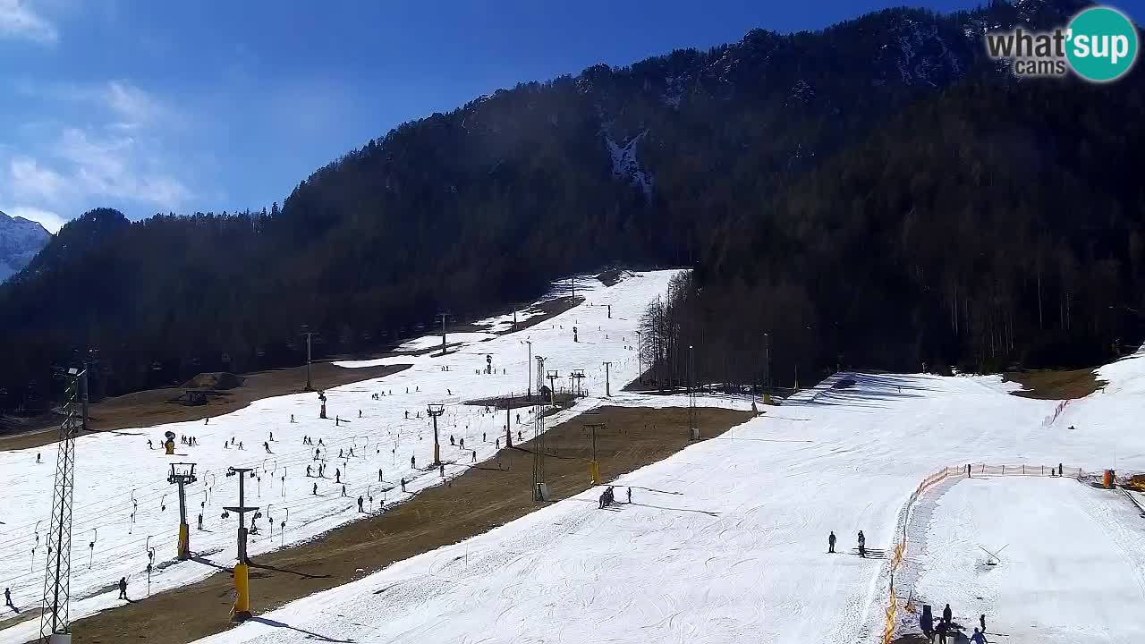 Webcam Kranjska Gora SKI resort | Bech, Kekec, Mojca ski