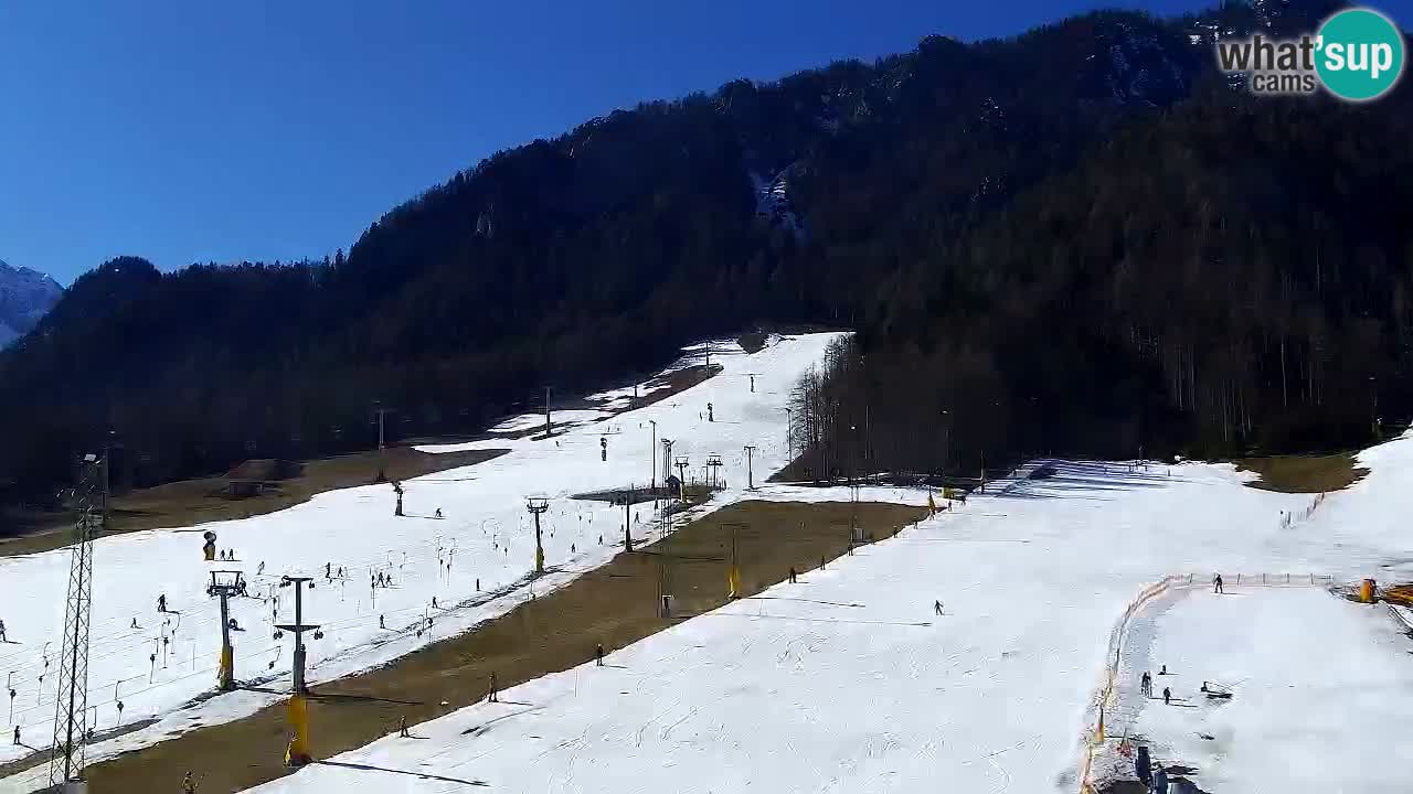 Webcam Kranjska Gora SKI resort | Bech, Kekec, Mojca ski