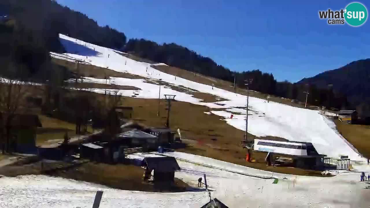 Webcam Kranjska Gora SKI – panoramica Piste centrali