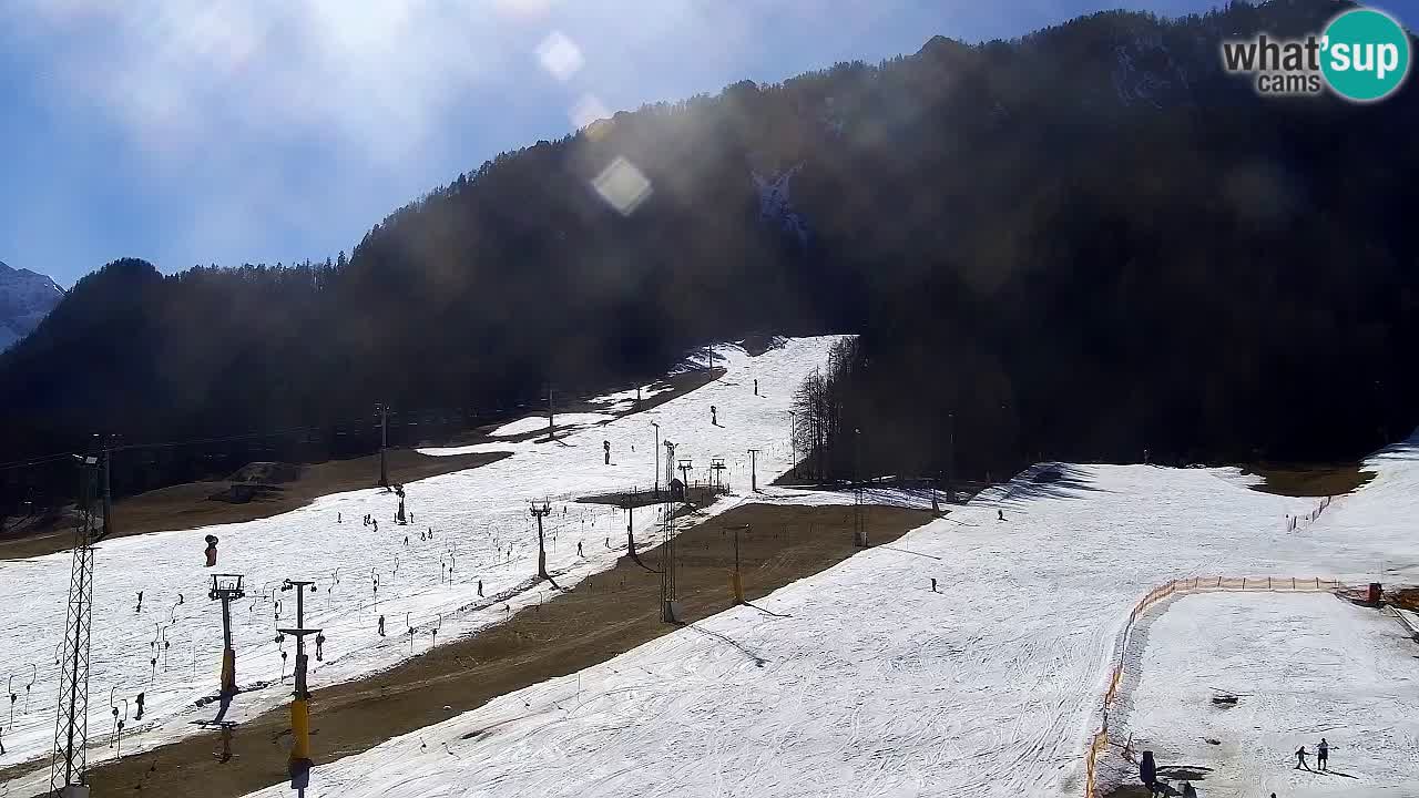 Webcam Kranjska Gora SKI resort | Bech, Kekec, Mojca ski