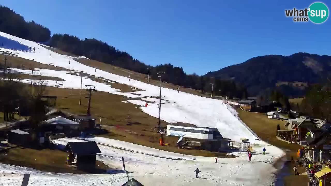 Webcam Kranjska Gora SKI resort | Bech, Kekec, Mojca ski