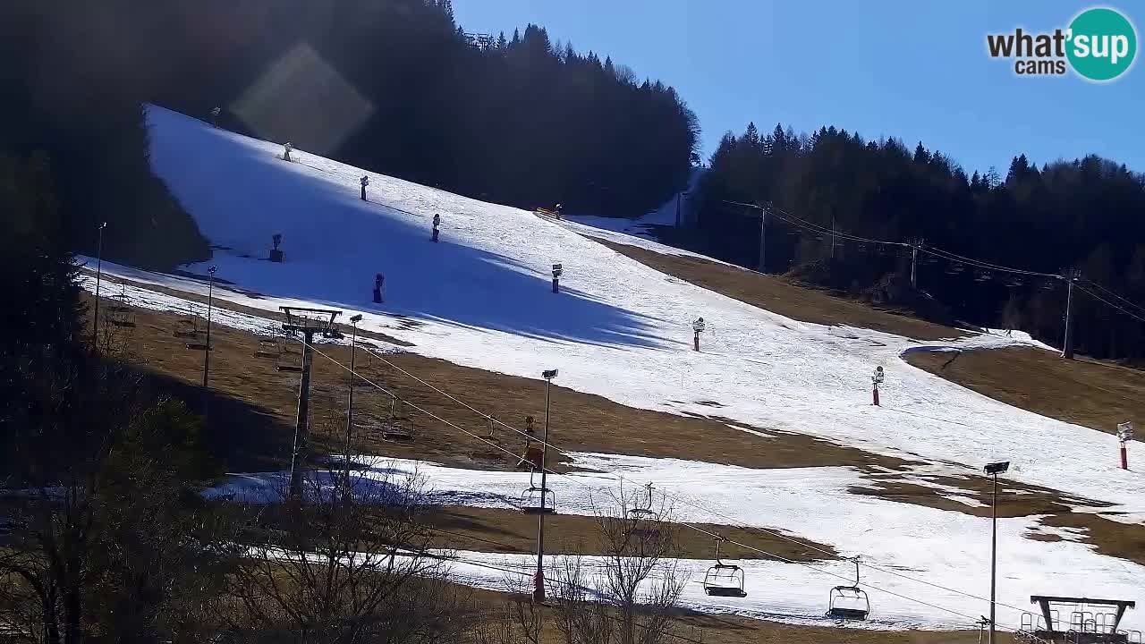 Webcam Skigebiet Kranjska Gora – Slowenien