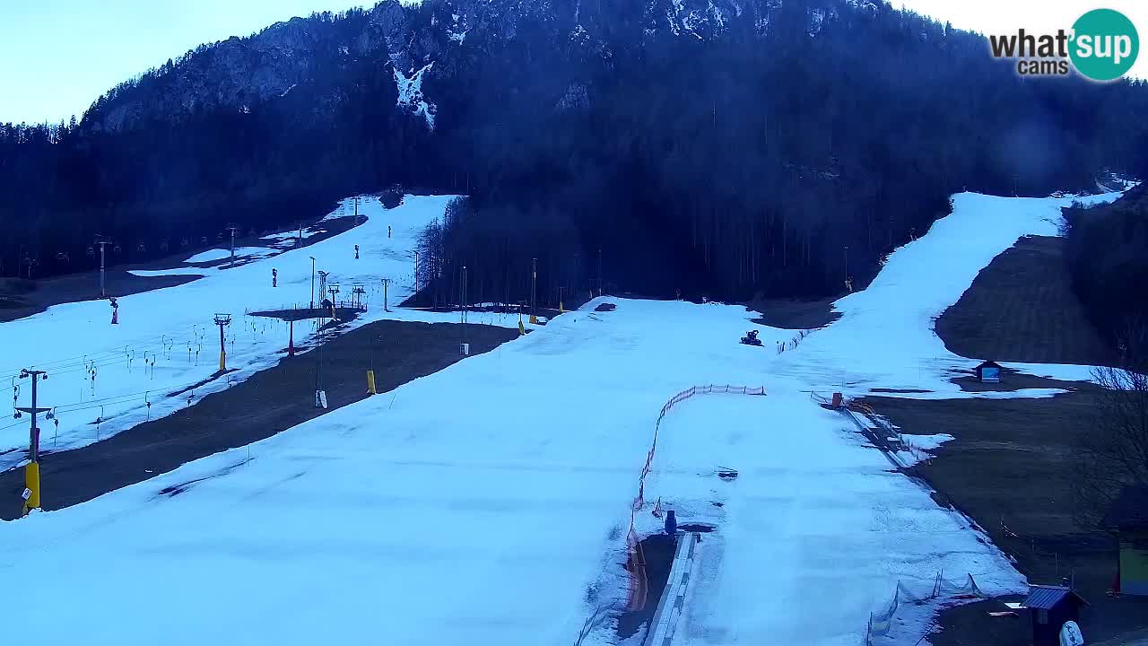 Webcam Kranjska Gora SKI resort | Bech, Kekec, Mojca ski