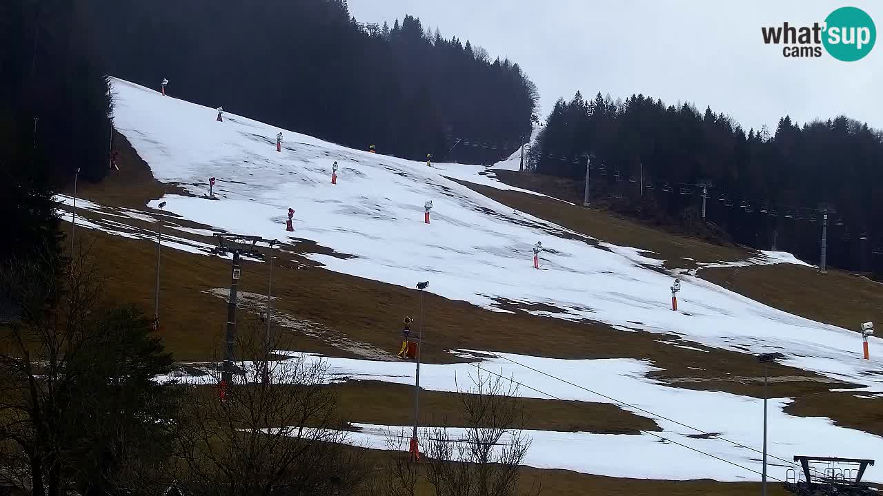 Webcam Kranjska Gora SKI resort | Bech, Kekec, Mojca ski