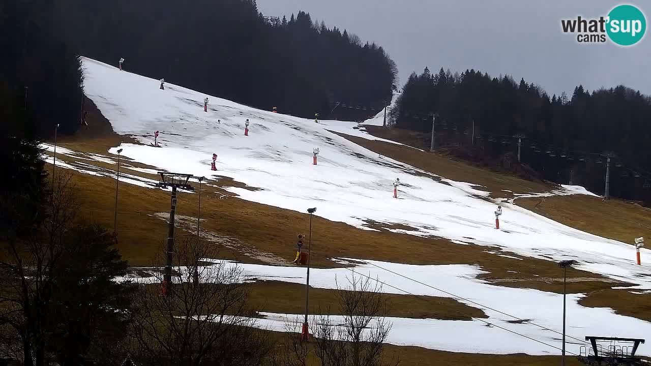 Webcam Kranjska Gora SKI resort | Bech, Kekec, Mojca ski