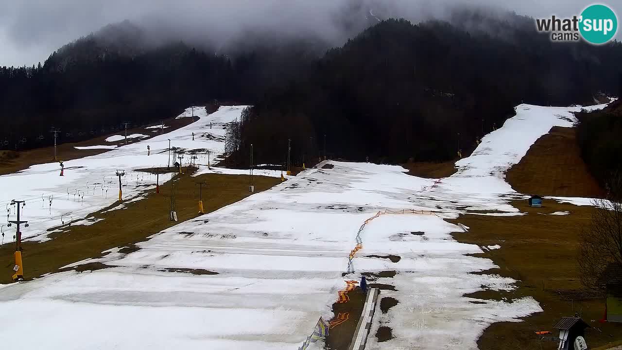 Webcam Skigebiet Kranjska Gora – Slowenien