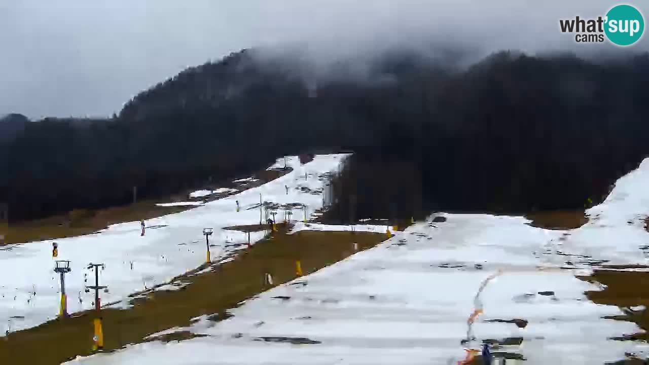 Webcam Kranjska Gora SKI resort | Bech, Kekec, Mojca ski