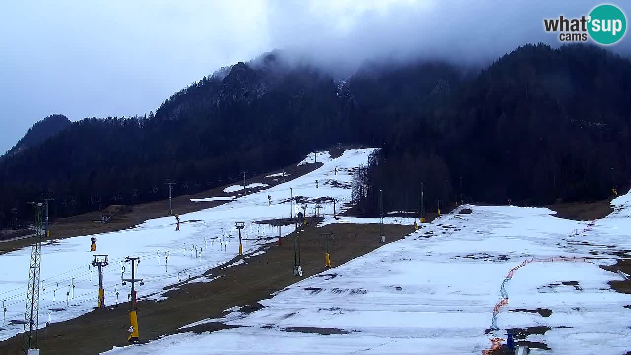 Webcam Estación de esquí Kranjska Gora – Eslovenia