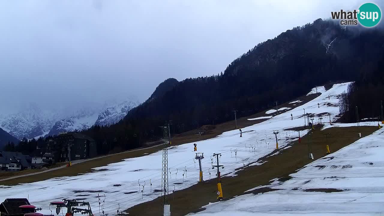 Webcam Kranjska Gora SKI resort | Bech, Kekec, Mojca ski