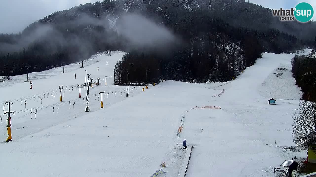 Webcam Station de ski Kranjska Gora – Slovénie