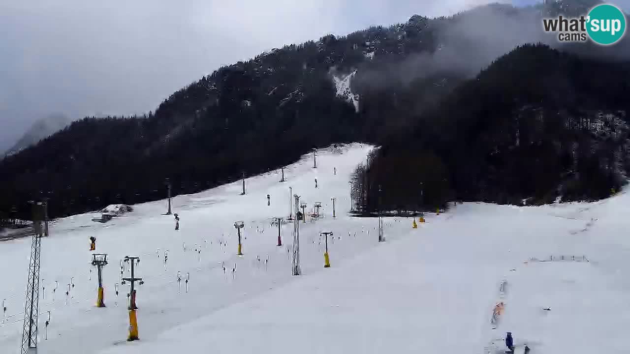 Webcam Comprensorio sciistico Kranjska Gora – Slovenia