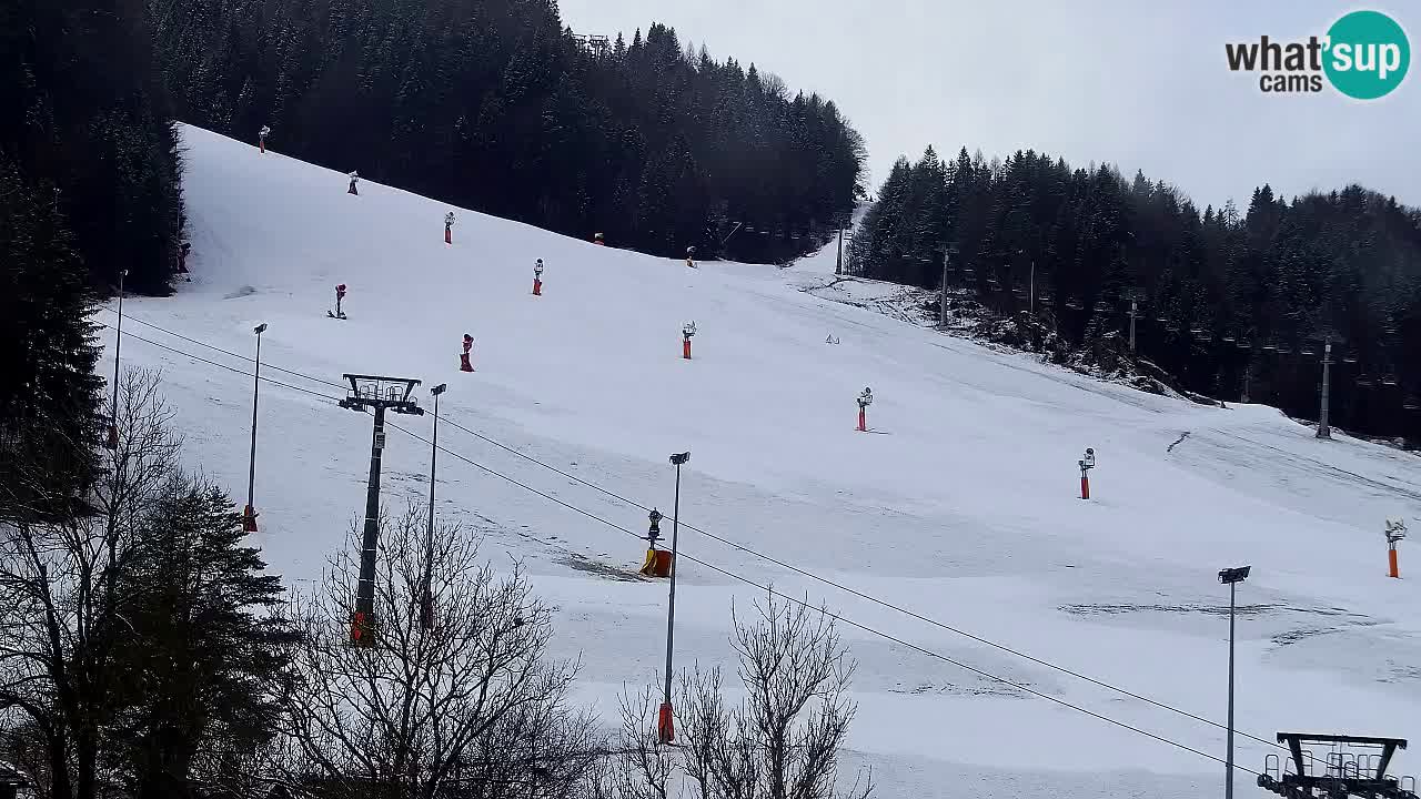 Webcam Station de ski Kranjska Gora – Slovénie