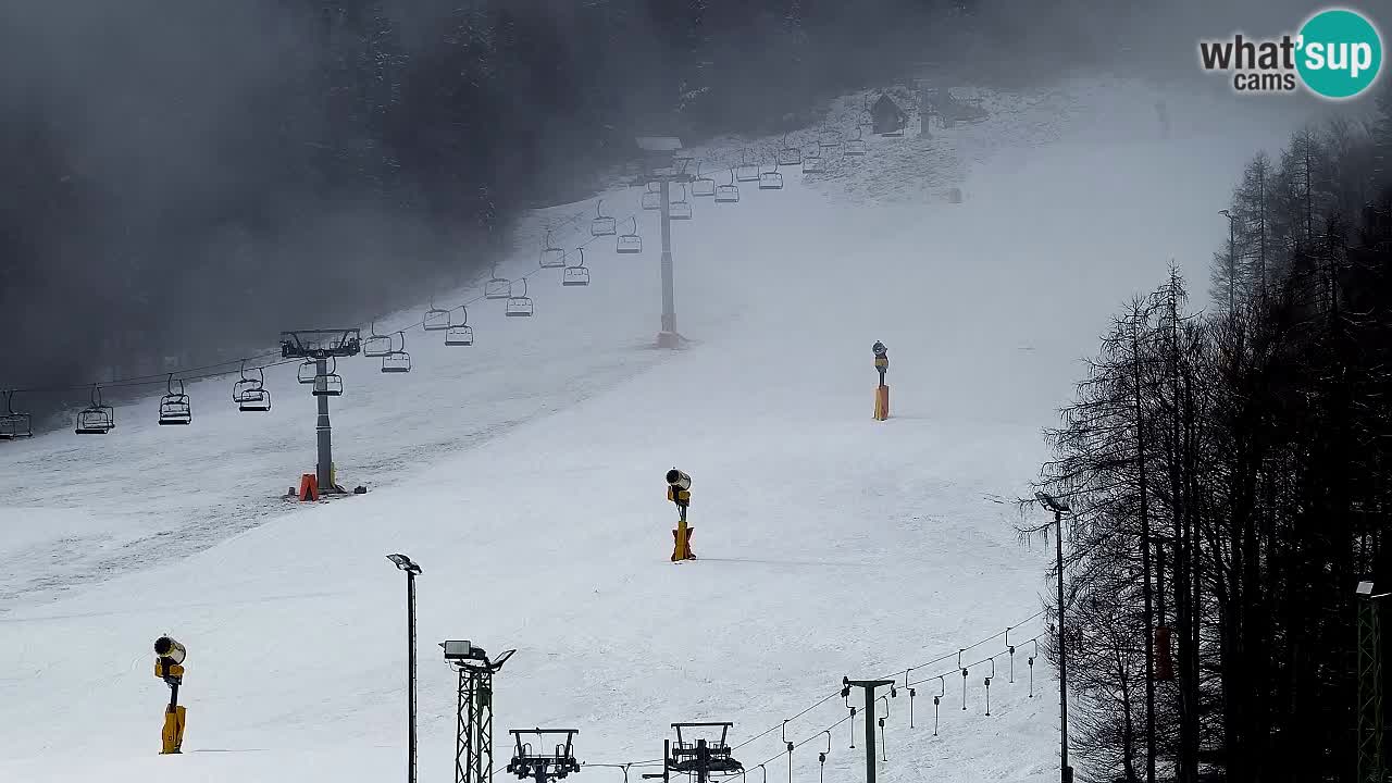 Webcam Station de ski Kranjska Gora – Slovénie