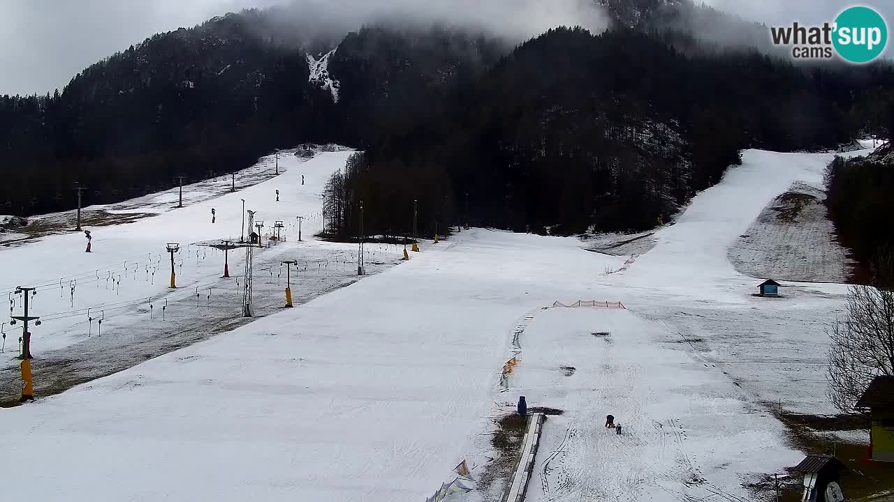 Webcam Skigebiet Kranjska Gora – Slowenien