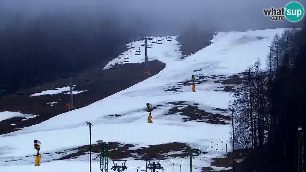 Webcam Kranjska Gora SKI resort | Bech, Kekec, Mojca ski