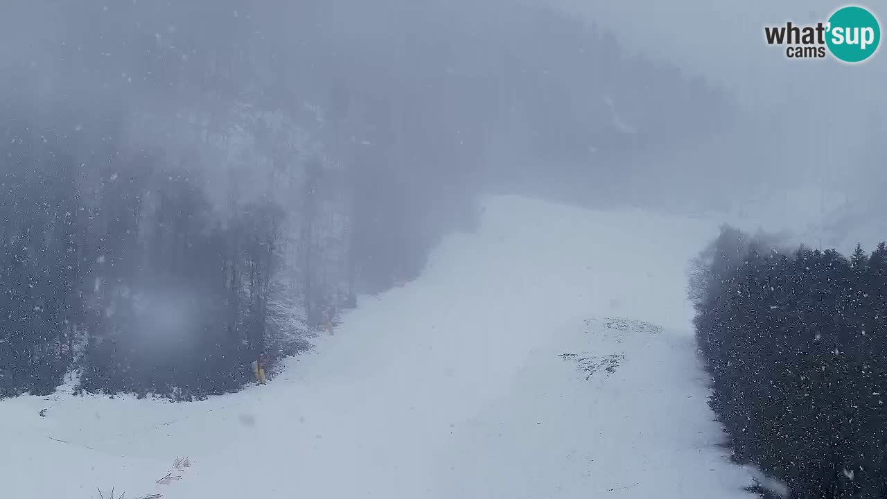 Webcam Estación de esquí Kranjska Gora – Eslovenia