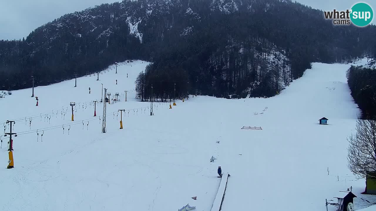 Webcam Station de ski Kranjska Gora – Slovénie