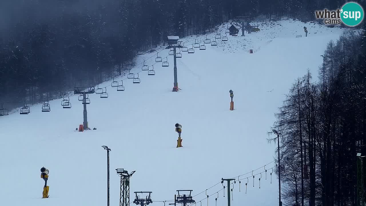 Webcam Kranjska Gora SKI resort | Bech, Kekec, Mojca ski