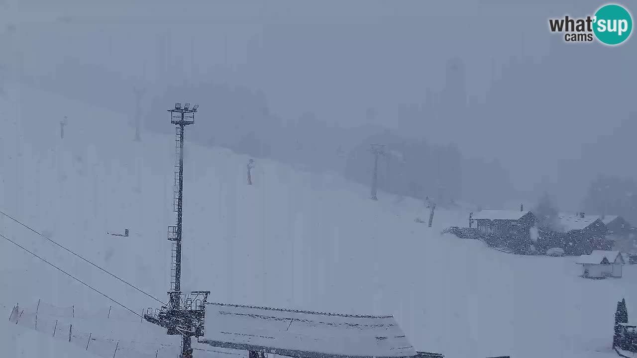 Webcam Kranjska Gora SKI resort | Bech, Kekec, Mojca ski