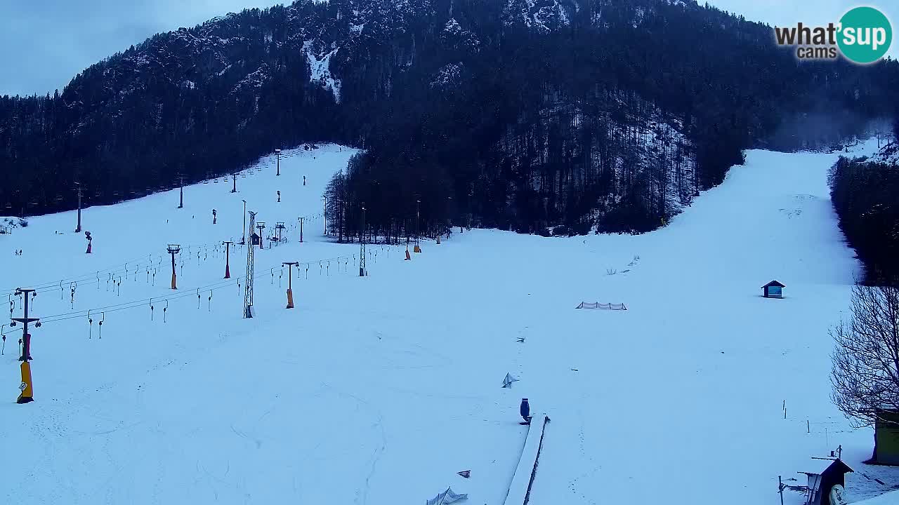 Webcam Kranjska Gora SKI – panoramica Piste centrali