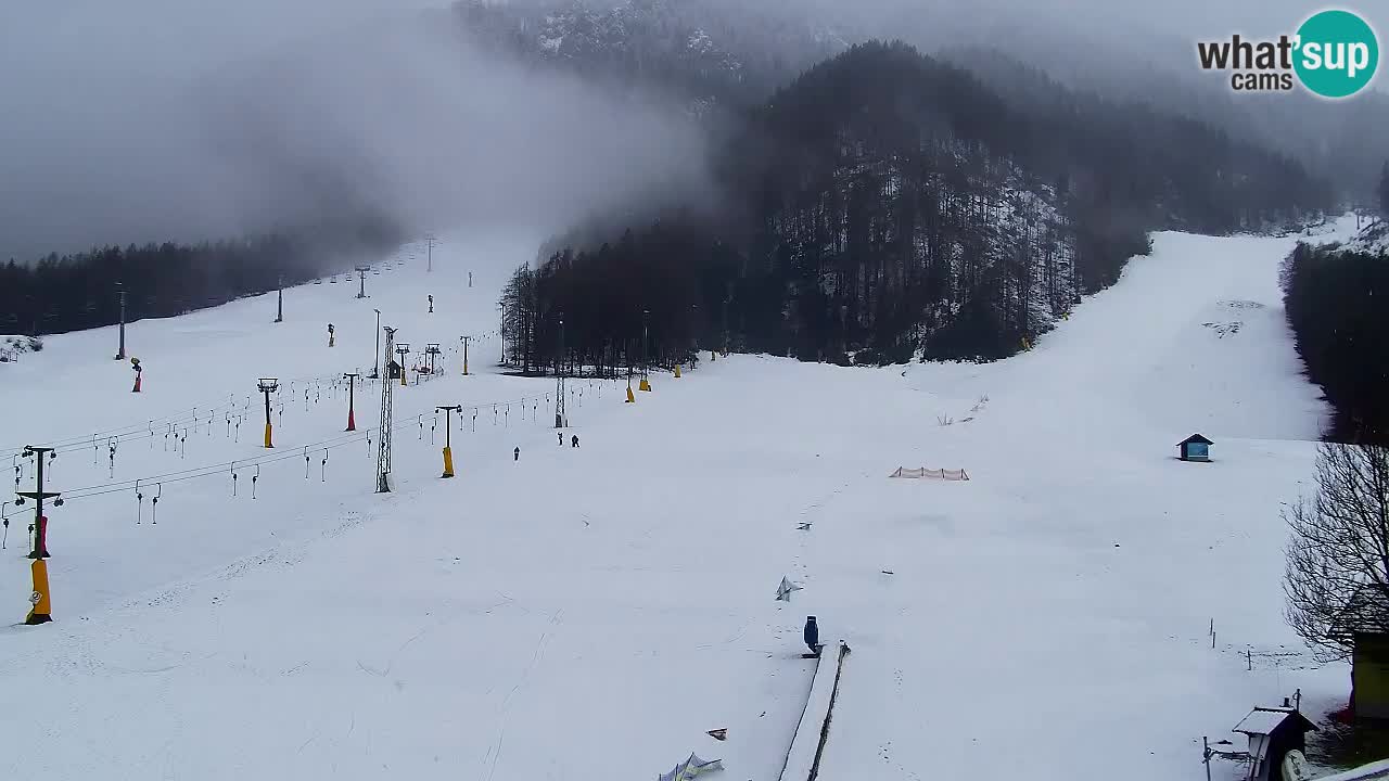 Webcam Kranjska Gora SKI resort | Bech, Kekec, Mojca ski