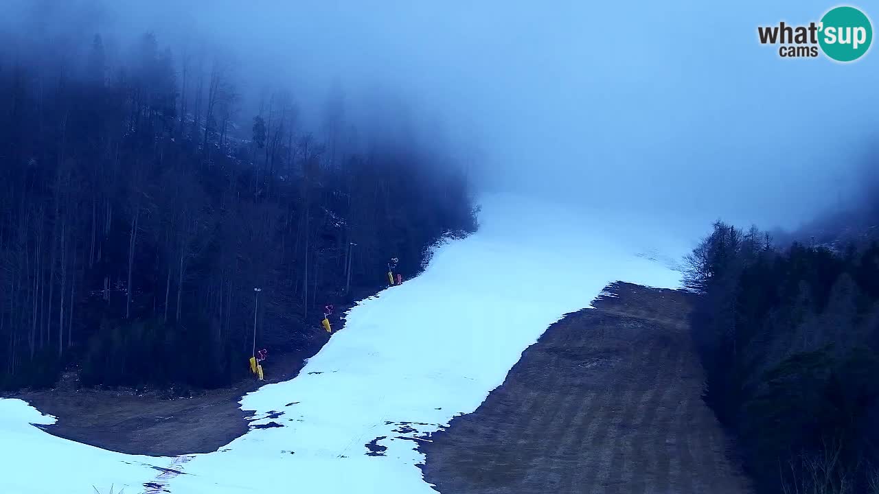 Webcam Kranjska Gora SKI resort | Bech, Kekec, Mojca ski