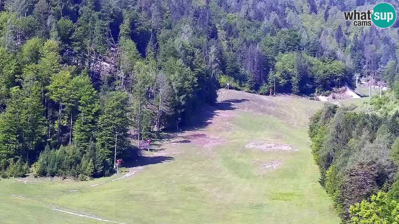 Webcam Kranjska Gora SKI – panoramica Piste centrali