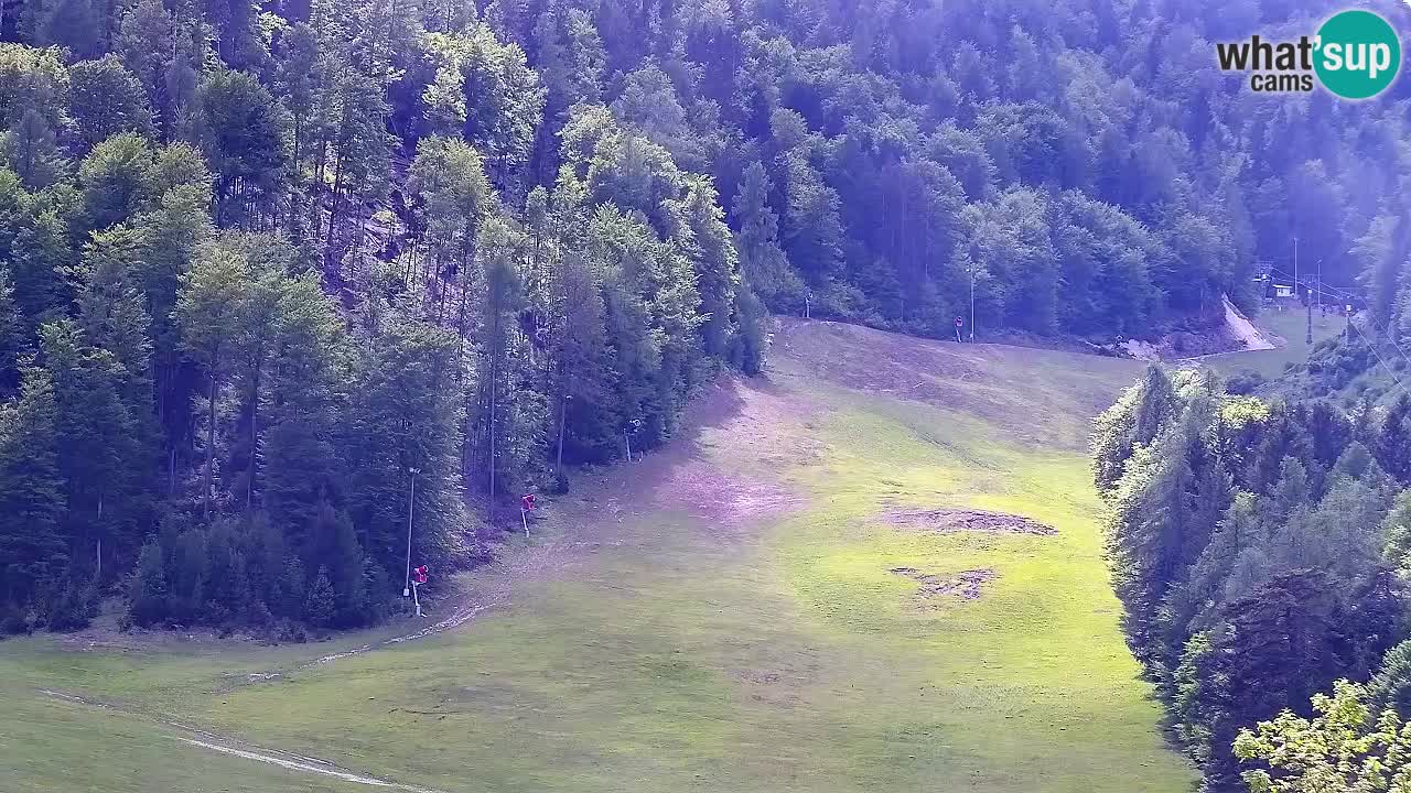 Webcam Station de ski Kranjska Gora – Slovénie