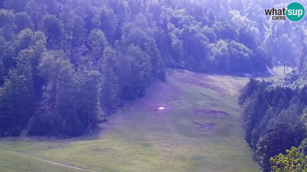 Web kamera Kranjska Gora Skijalište | Proge Mojca in Kekec