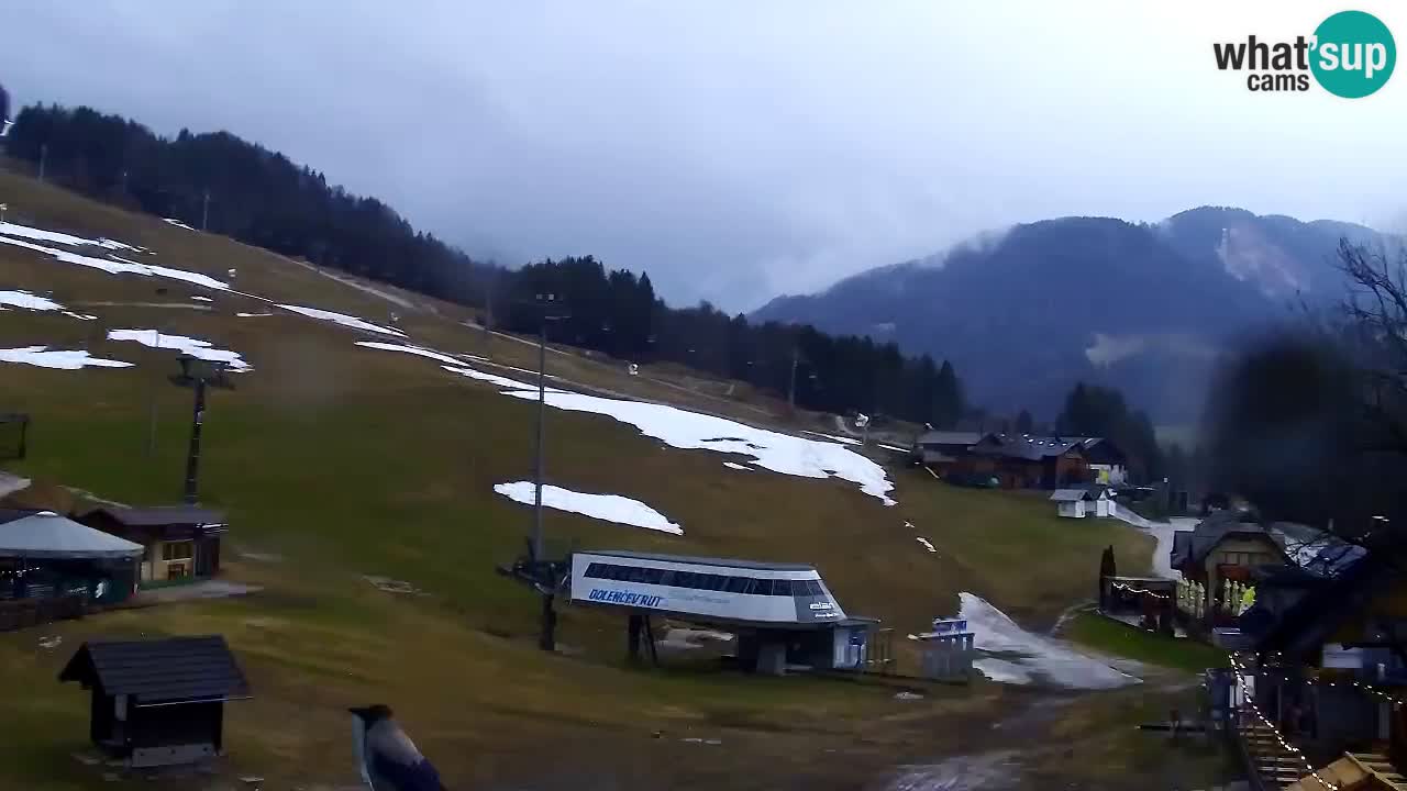 Webcam Kranjska Gora SKI – panoramica Piste centrali