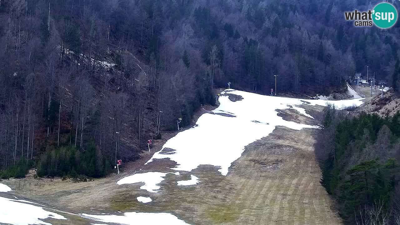 Webcam Kranjska Gora SKI – panoramica Piste centrali