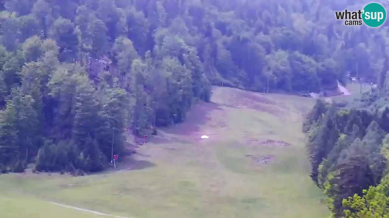 Webcam Kranjska Gora SKI resort | Bech, Kekec, Mojca ski